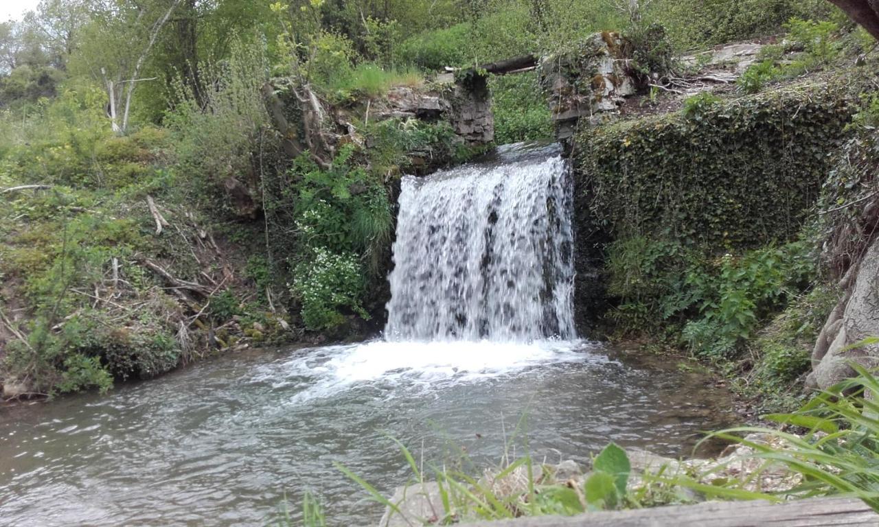 Au Fil De L'eau A La Campagne