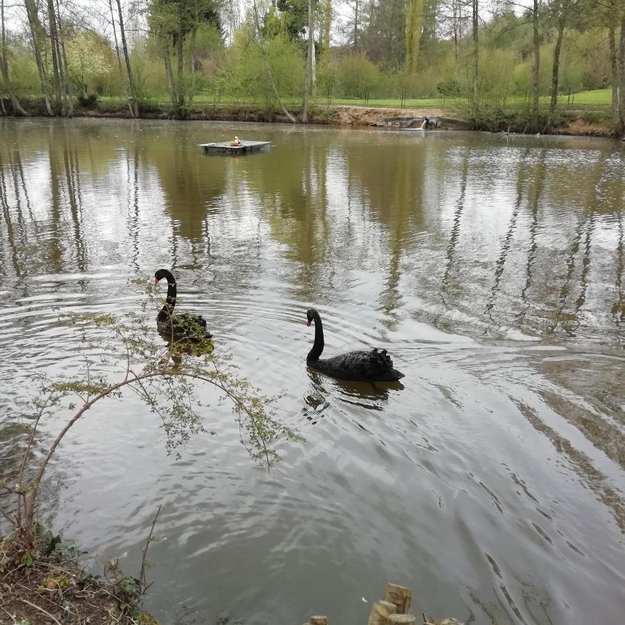 Au Fil De L'eau A La Campagne Holiday home
